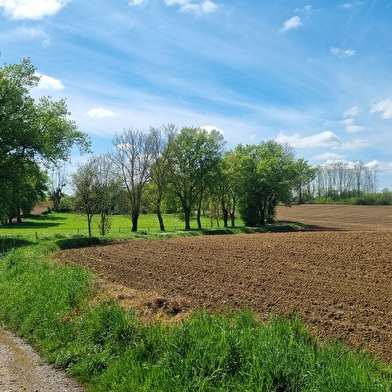 Circuit VTT-VTC n°25 (rouge) Comté de Montrevel - Domaine du Sougey