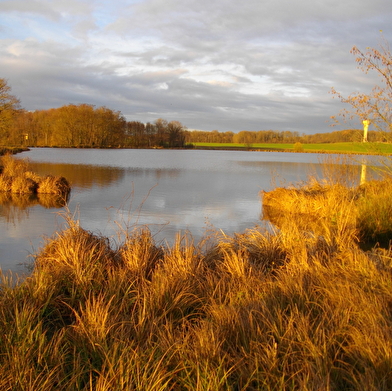 A la croisée des chemins