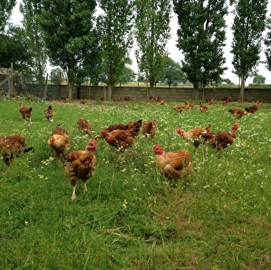 La Ferme de Marcelizon