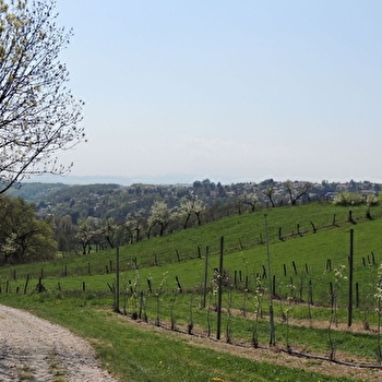 Rando 'Découverte de Brignais' - BRIGNAIS