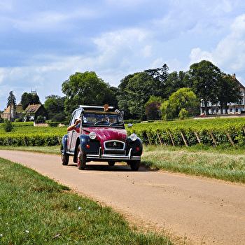 Millésime Drive - SAINT-AUBIN