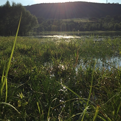 Randonnée - Le tour de l'Oignin