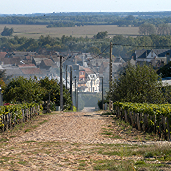 Camping municipal Le Malaga Pouilly sur Loire - POUILLY-SUR-LOIRE