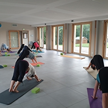 Yoga dynamique - AGEY