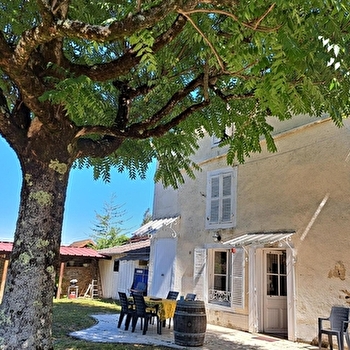 Quatre-Cournot - ARBOIS