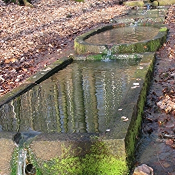 Circuit du Haut-Bois - LUXEUIL-LES-BAINS