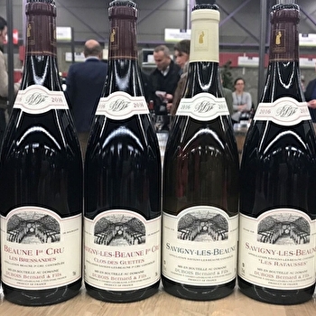 DOMAINE DUBOIS BERNARD ET FILS - CHOREY-LES-BEAUNE