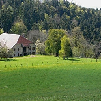 Gîte - Le Monthury - LES NANS
