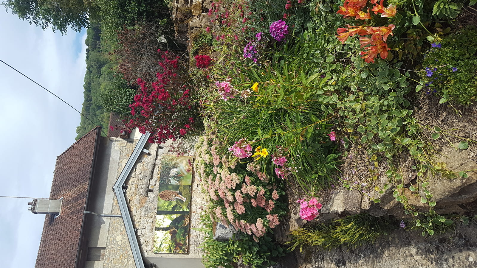 Exposition Photo Nature - parcours extérieur