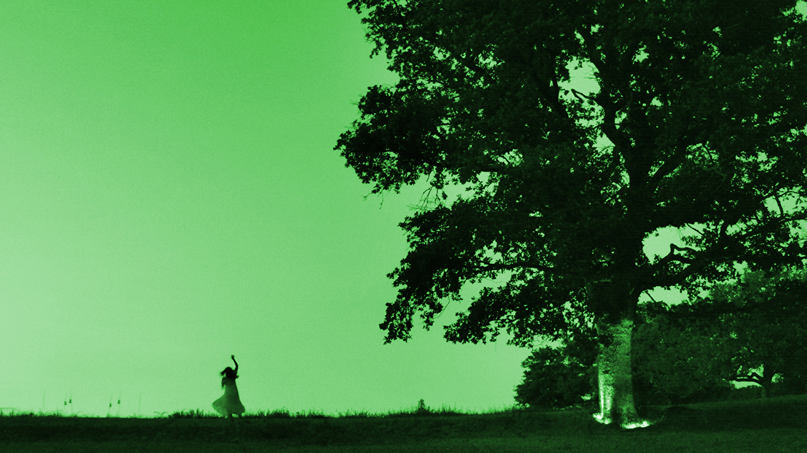 Le bouquet des sorcières