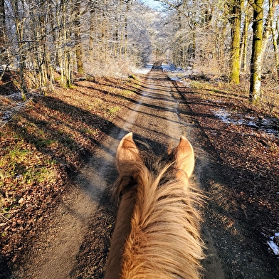 Les sabots dans l'eau