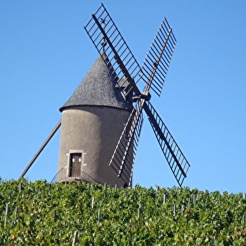 Le Moulin à Vent - ROMANECHE-THORINS