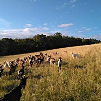 GAEC du Bôkin Cor - AUBAINE
