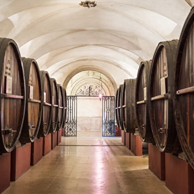 Caves Patriarche Père & Fils - Visite Dégustation Liberté
