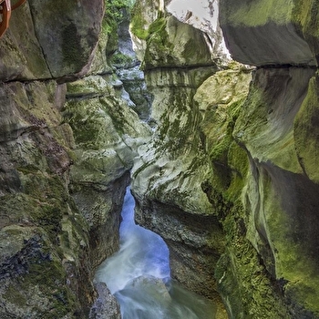 Excursion Aux portes d’Annecy II : enchantement et émotion - LONS-LE-SAUNIER