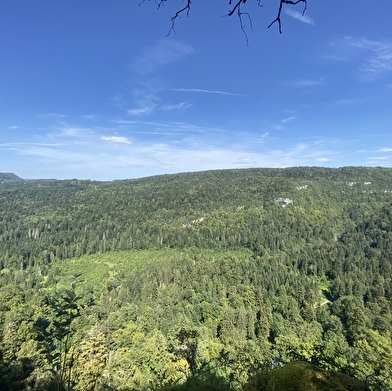 Belvédère du Pré Grillet