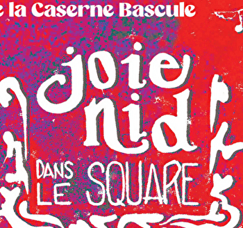 Joie-Nid dans le square - JOIGNY