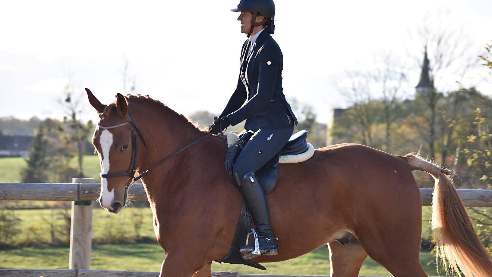 Équitation Passion