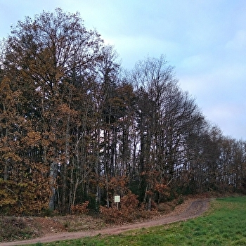 Le Mont Botey - BEAUBERY