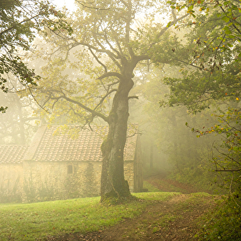 Visite commentée à Bazoches en Néerlandais - BAZOCHES