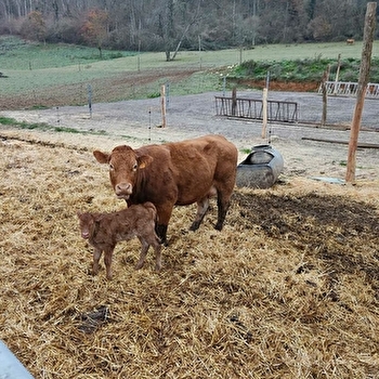 Aire France Passion chez Aline Ferme Bio - BUCEY-LES-GY