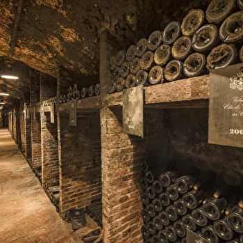 Festival de Bach à Bacchus - Visite des caves du Château de Meursault et dégustation  - MEURSAULT
