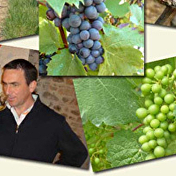 Lapalus Maurice et Fils - PIERRECLOS