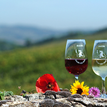 Vitipass en Mâconnais et Beaujolais - MACON