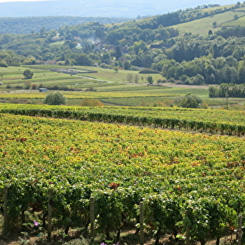 Les Moulins - SAINT-MAURICE-LES-COUCHES