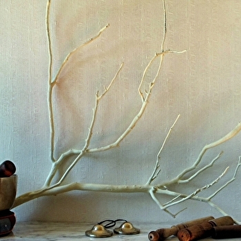 Lons Yoga Studio - Le LYS - LONS-LE-SAUNIER