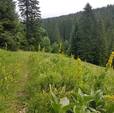 Crêtes franco-suisses - n° 35