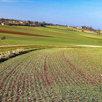  Sentier du Tremblay - FONTENOY