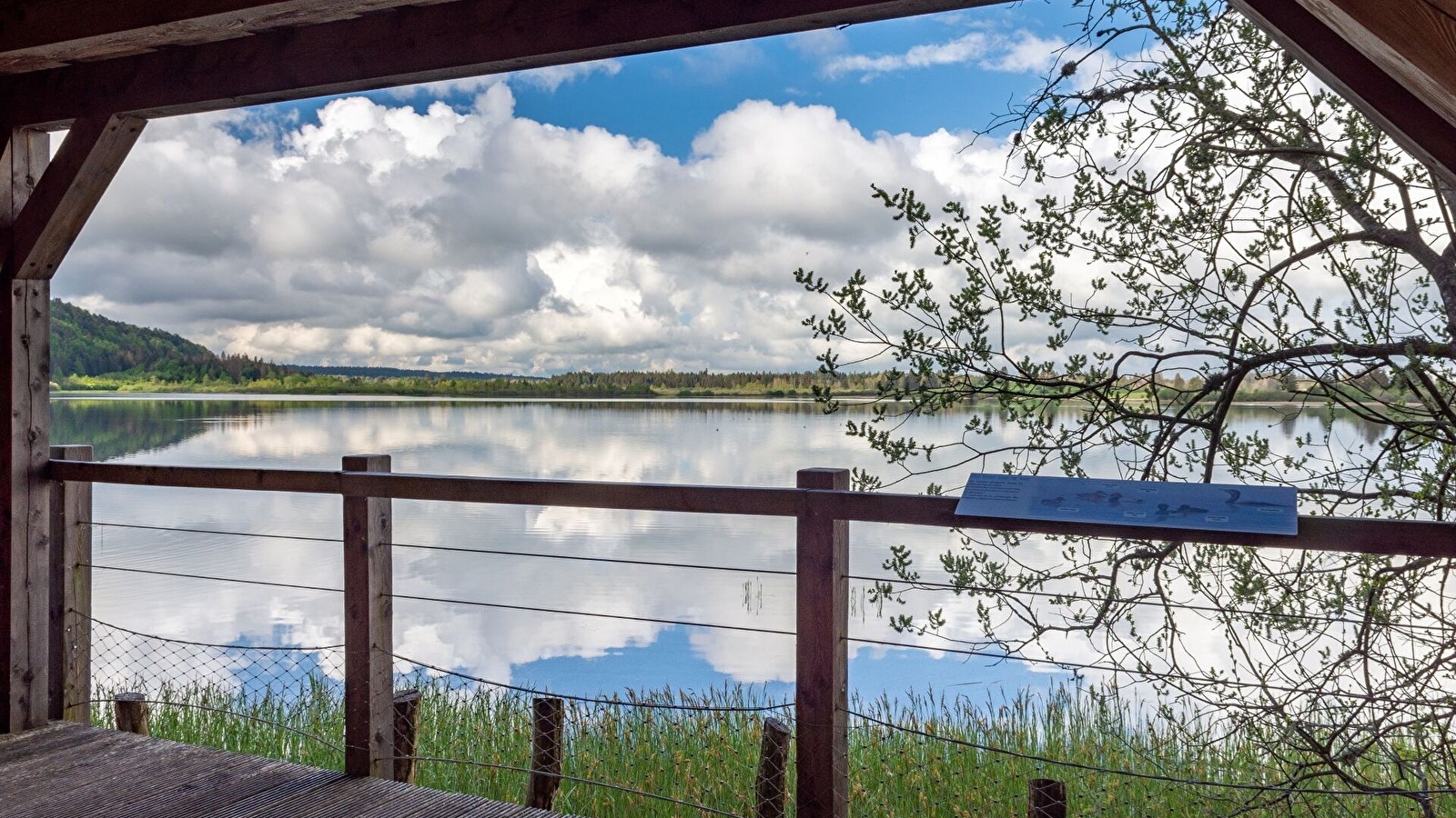 Découverte des Rives du lac de Bouverans