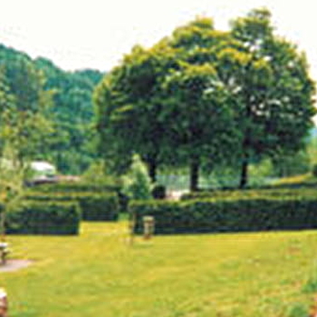 Camping de Miellin  - SERVANCE - MIELLIN