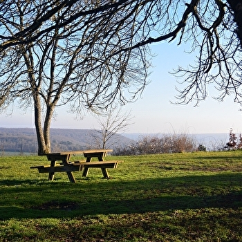 Aire de pique-nique de Saulx-le-Duc - SAULX-LE-DUC