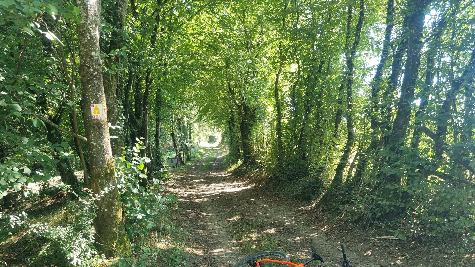 Circuit Gravel n°4 (rouge) - La Voie Royale des bois de But