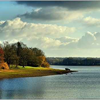 Grand tour du Lac du Bourdon - SAINT-FARGEAU