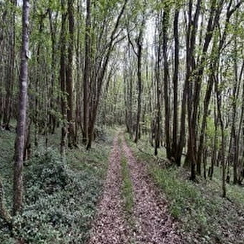 Circuit VTT 2 : Clamecy-Rix-Clamecy - CLAMECY