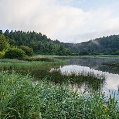 Parcours Gravel 17 rouge - Le Tour des Monts d'Ain - Espace FFC Ain Forestière