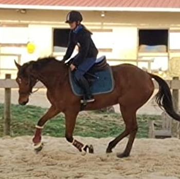 Centre équestre de Champignelles - CHAMPIGNELLES