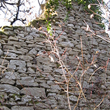 Randonnée - Les crêtes et ruines de la maison forte de Lomont - VAL-REVERMONT