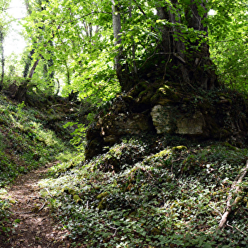 Le sentier des 4 Bornes - LA CHAUME