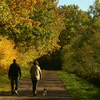 Forêt des Bertranges - RAVEAU