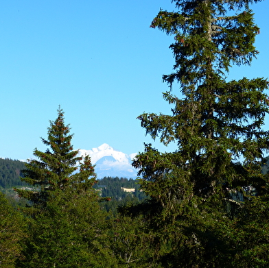Le Crêt de la Vigoureuse 