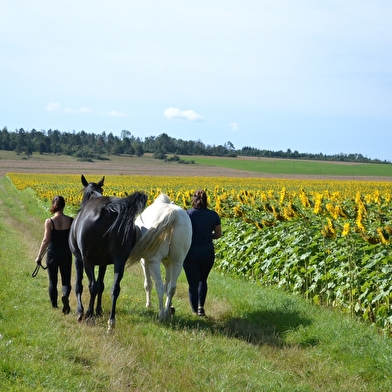 EARL derriere les granges