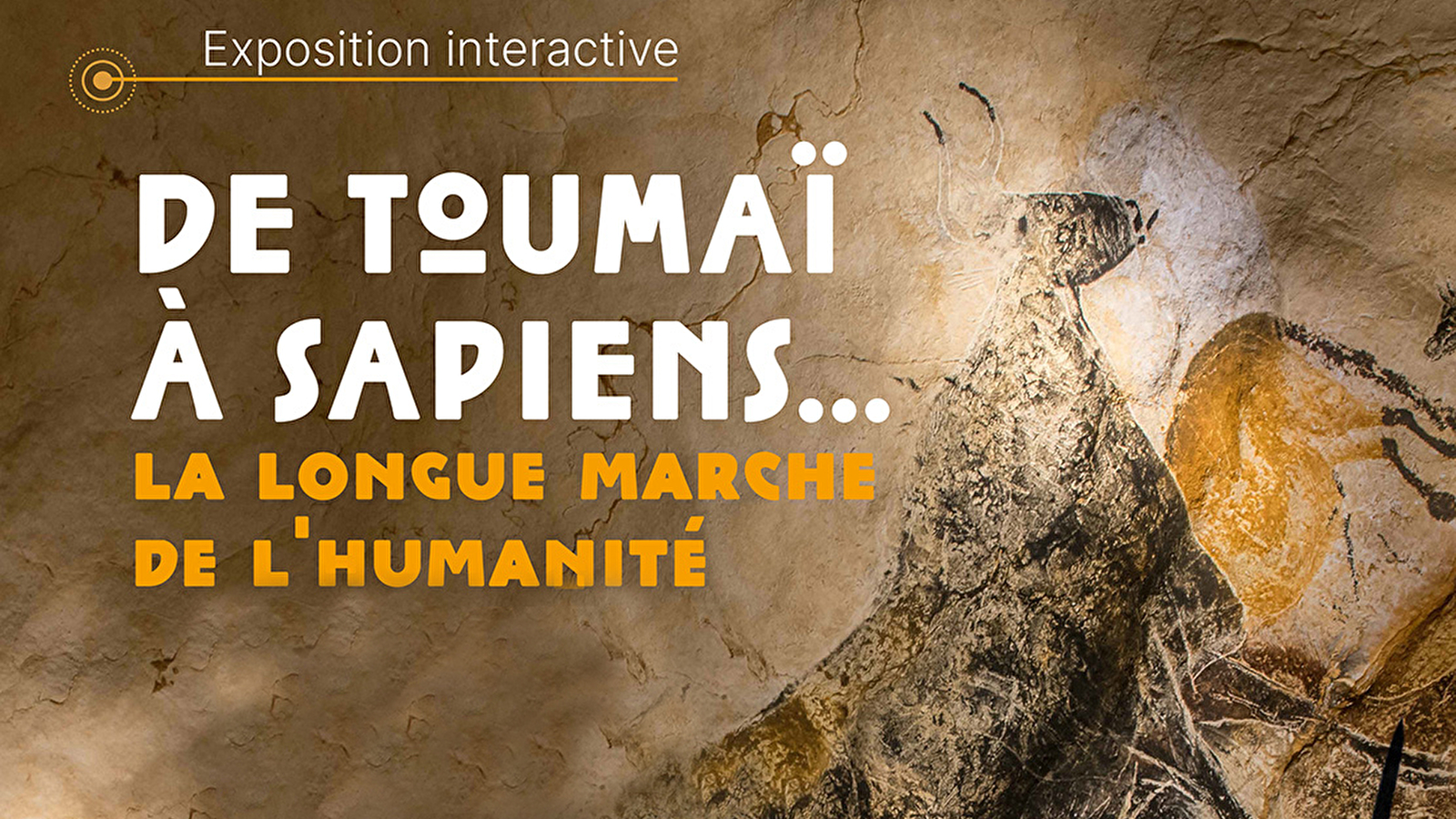 De Toumaï à Sapiens... La longue marche de l'humanité