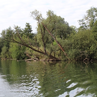 Valleroy et les berges de l'Ognon