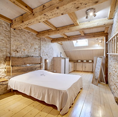 Abricosy côté jardin