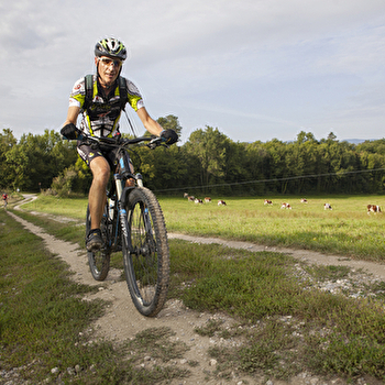 Parcours VTT rouge N°41 - Boucle du Grand Colombier - Espace FFC Ain Forestière - CORBONOD