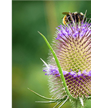 Circuit VTT n°20 / Nancray - NANCRAY